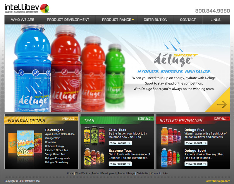 Example of Marketing and Werbsite Branding